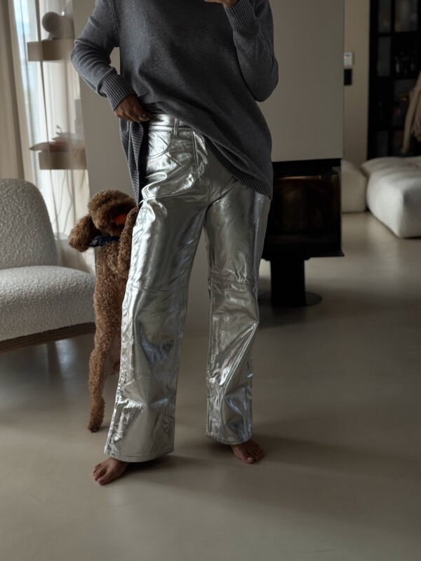 Silver Trousers