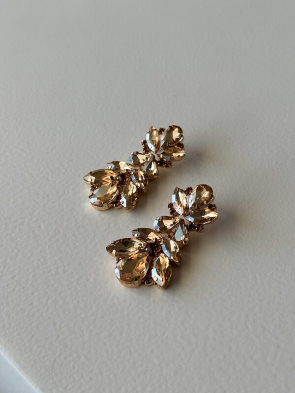 Sparkling Gold Earrings
