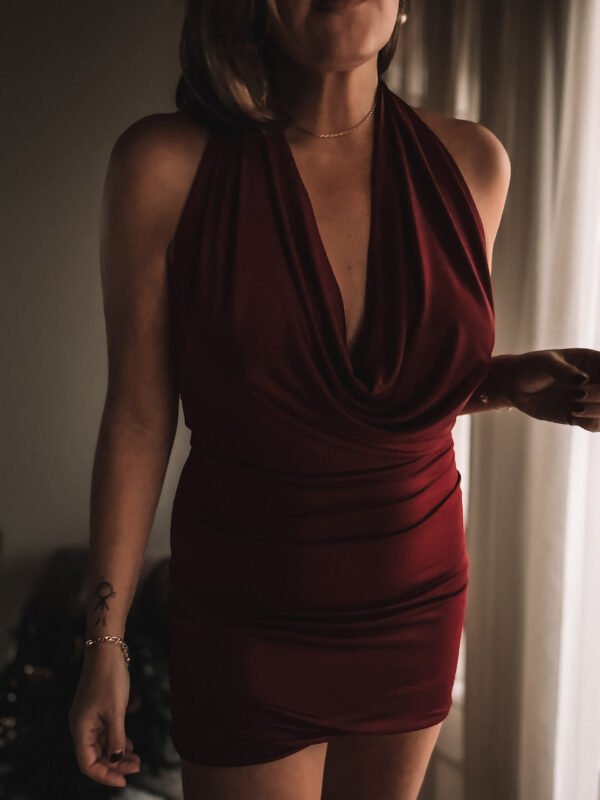 Red Wine Backless Mini Elastic Dress